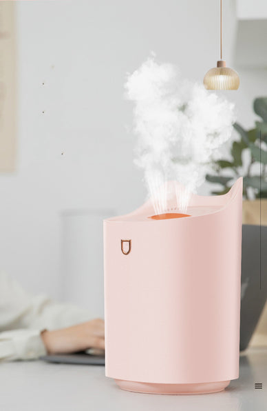 Double nozzle humidifier