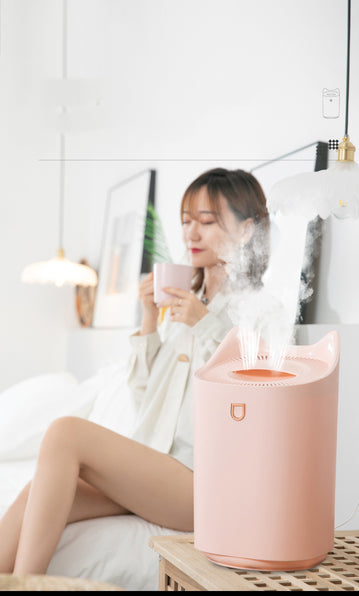 Double nozzle humidifier